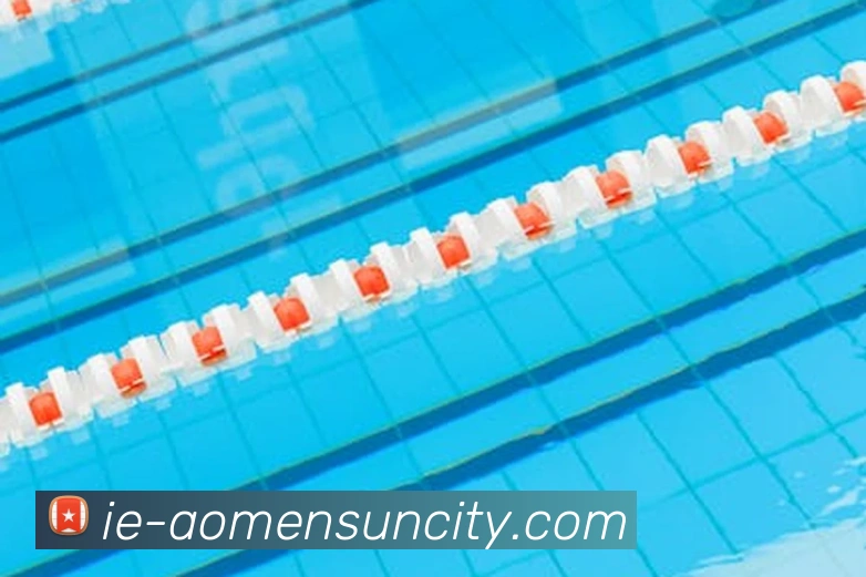 太阳城网站发展历程